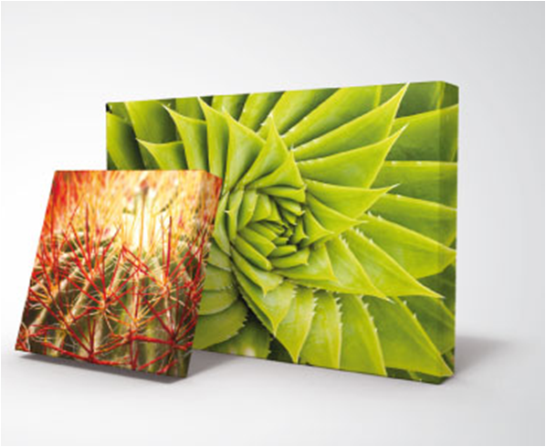 Impressão Foto-Quadros :: MAXYPRINT